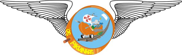 Logo Aeromodelismo