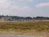 q-mini-DSC04633