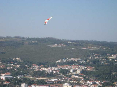 q-mini-IMG_2901