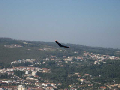 q-mini-IMG_2910