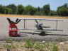 q-mini-IMG_4125