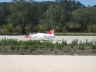 q-mini-IMG_5370